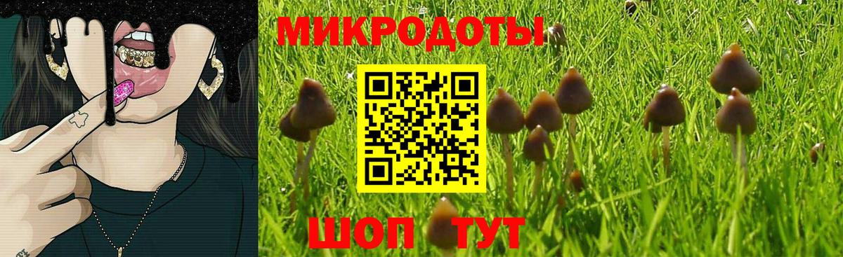 Галлюциногенные грибы Psilocybine cubensis Приморско-Ахтарск