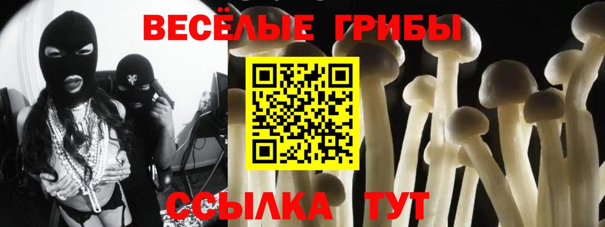 Бошки Шишки  Гашиш  A-PVP СК кристаллы  МЕФ кристаллы  Вход с VPN  Приморско-Ахтарск  Кокаин 